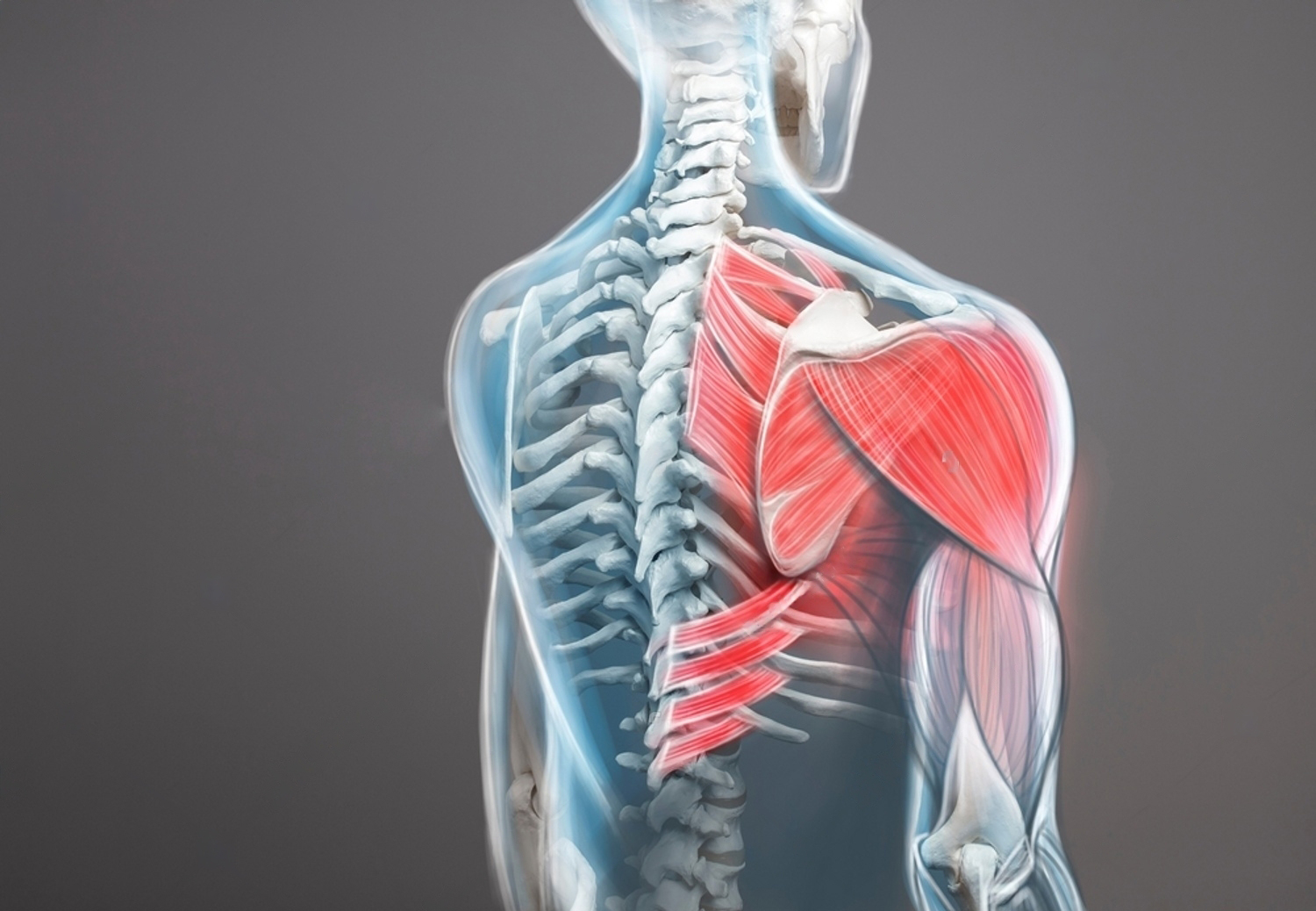 Shoulder Joint Disorder