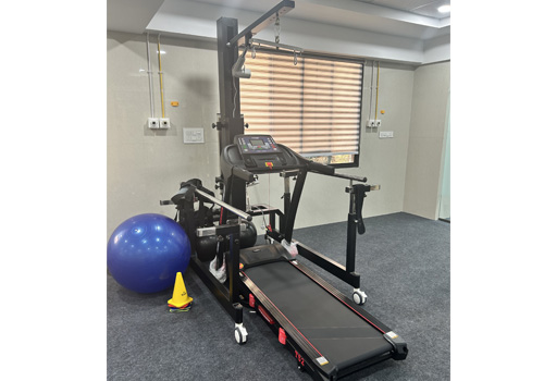 Suspension Gait Trainer With Treadmill